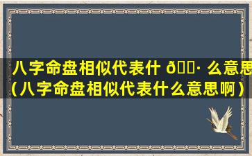 八字命盘相似代表什 🌷 么意思（八字命盘相似代表什么意思啊）